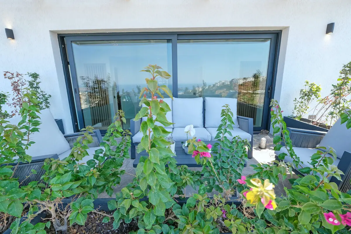 Mature garden